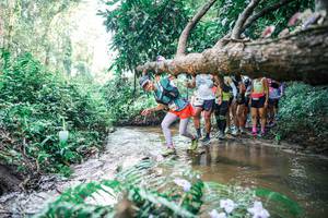 BIB: 
                            <button type="button" onclick="openModal(25469683)" class="btn btn-primary btn-sm float-right btn-popup" data-toggle="modal" data-target=".modal-high-quality">
                        <i class="fas fa-shopping-cart"></i> Add to Cart
                    </button>
                                            <button type="button" onclick="isThisMe(25469683, true)" class="btn btn-success btn-sm float-right btn-popup btn-isme hidden" data-toggle="tooltip" data-placement="bottom" title="นี่คือรูปของคุณใช่ไหม คลิกที่นี่เพื่อเอาเข้าอัลบั้ม">
                        <i class="fas fa-plus"></i> Add to album
                    </button>
                    <button type="button" onclick="isThisMe(25469683, false)" class="btn btn-warning btn-sm float-right btn-popup btn-isnotme hidden">
                        <i class="fas fa-ban"></i> Remove from album
                    </button>